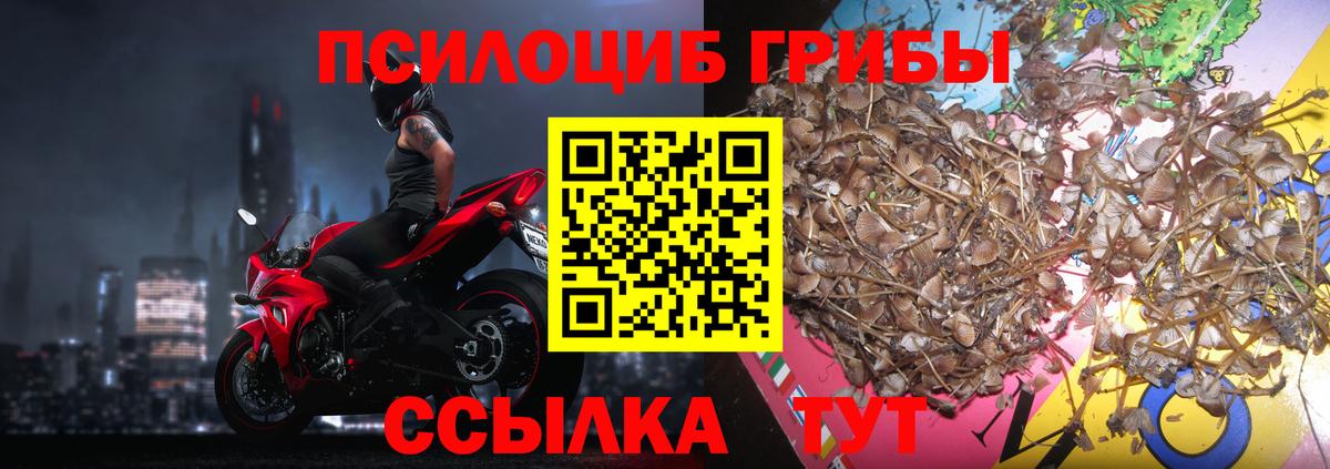 Галлюциногенные грибы ЛСД Заринск