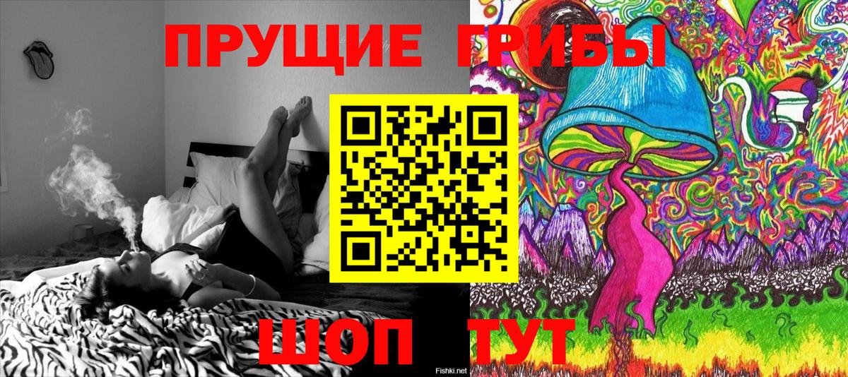 Заринск  Псилоцибиновые грибы MAGIC MUSHROOMS  Вход с VPN  Галлюциногенные грибы прущие грибы 